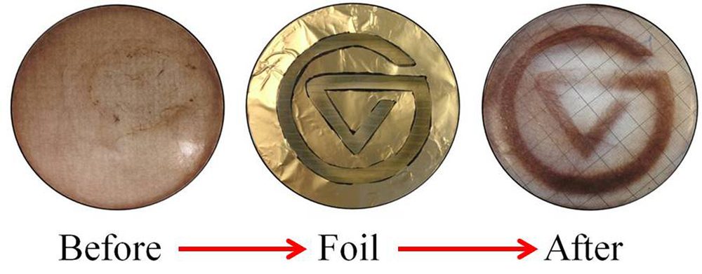 New Article Published in Frontiers in Microbiology